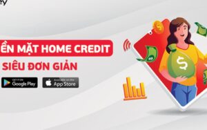 Pay Later and Its Credit Impact